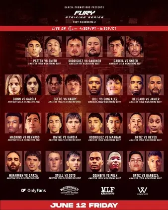 Fury Kickboxing 2