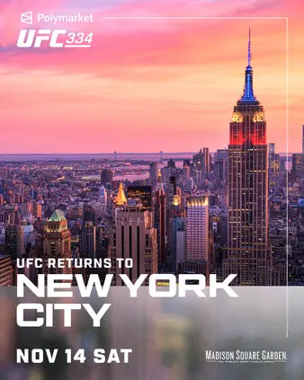 UFC 334