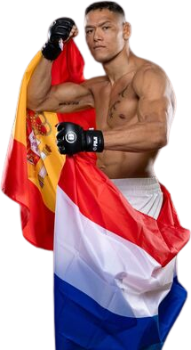 コステロ・ヴァン・スティーニス