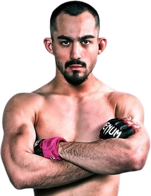 Vinicius Silveira