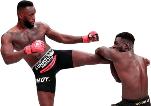 ファビアン・エドワーズ