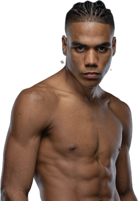 ジョアン・エストゥピニャン