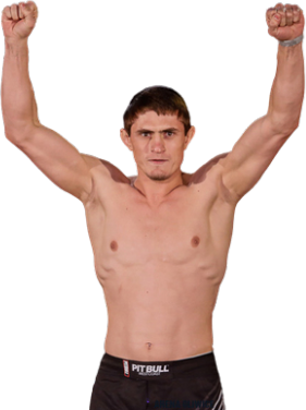Shamil Musaev