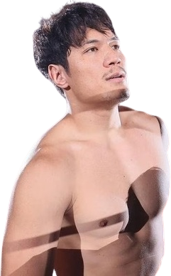 Shoma Shibisai