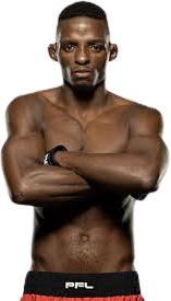 ンコシ・ンデベレ