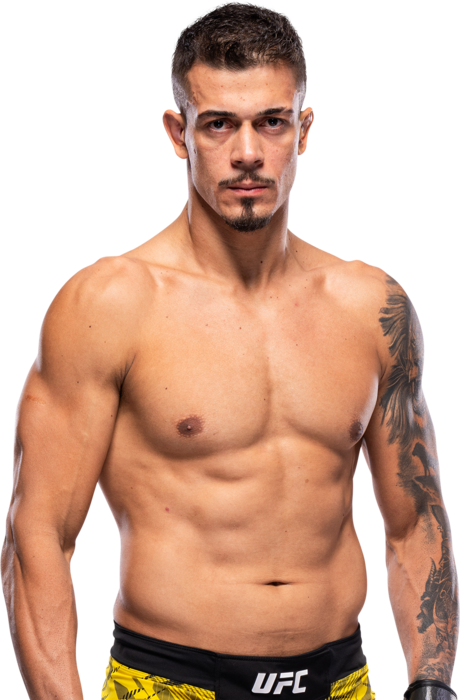 Marco Tulio