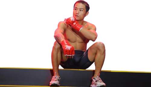 イン・シュアイ